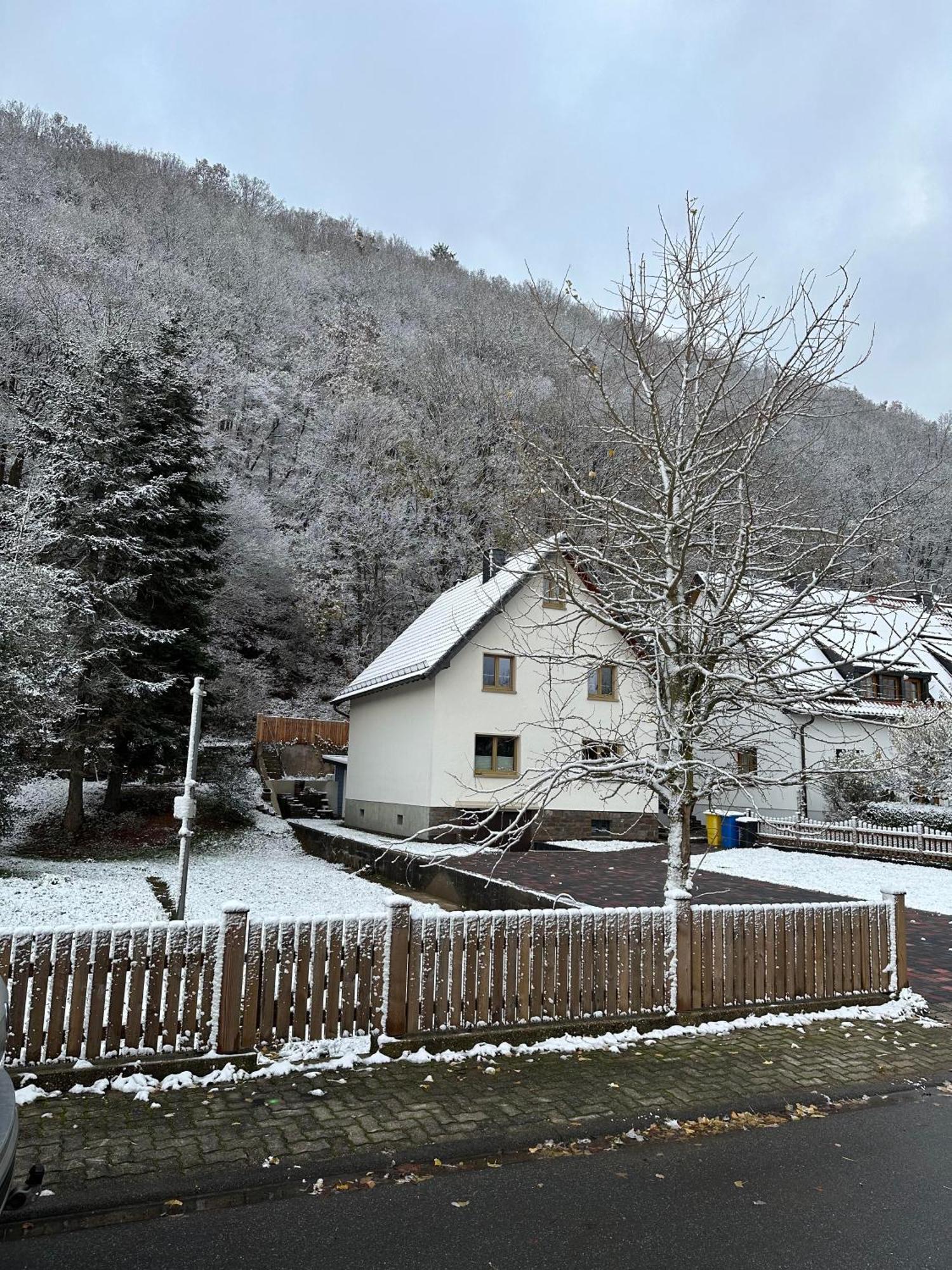 Ferienhaus Ginkgo Biloba Malsbenden Kültér fotó