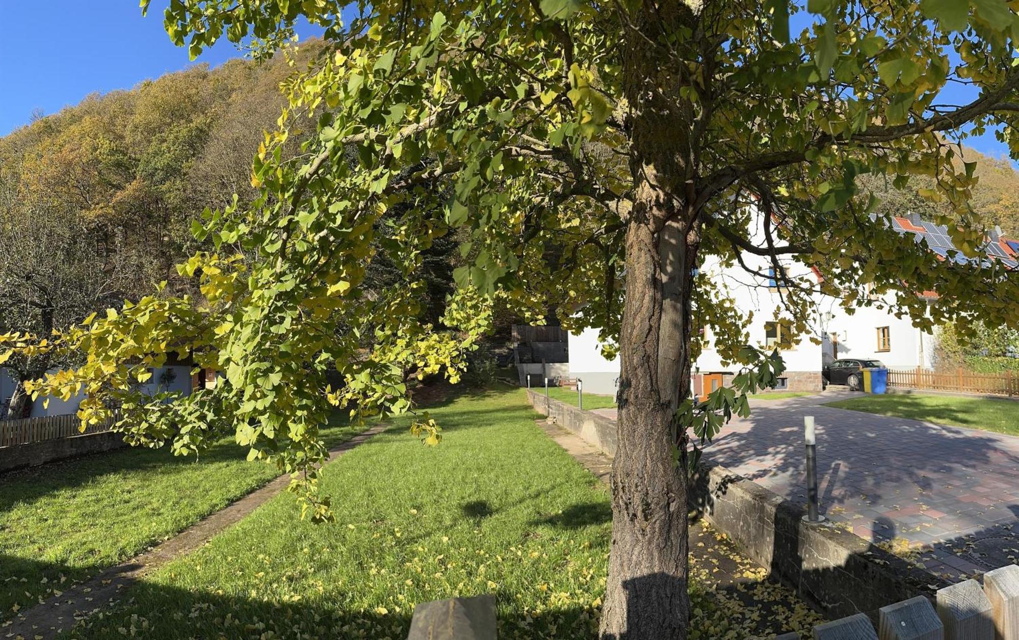 Ferienhaus Ginkgo Biloba Malsbenden Kültér fotó