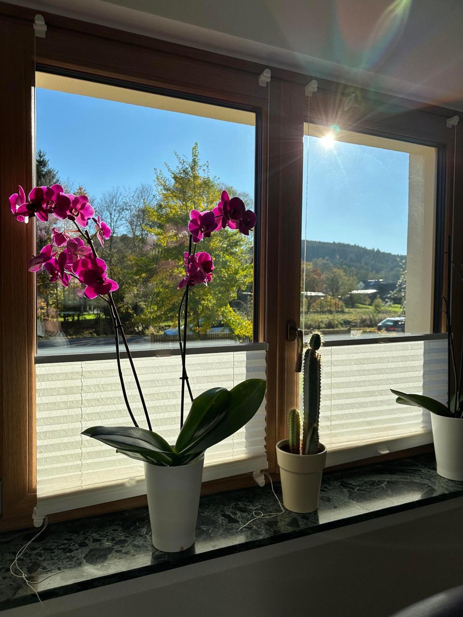 Ferienhaus Ginkgo Biloba Malsbenden Kültér fotó